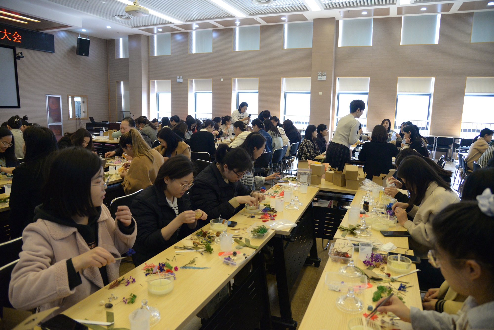 1678867268615840.jpg DSC_2212.JPG